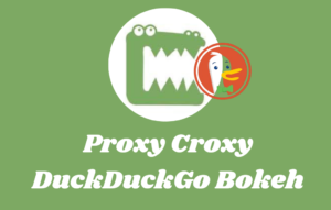 Proxy Croxy DuckDuckGo Bokeh